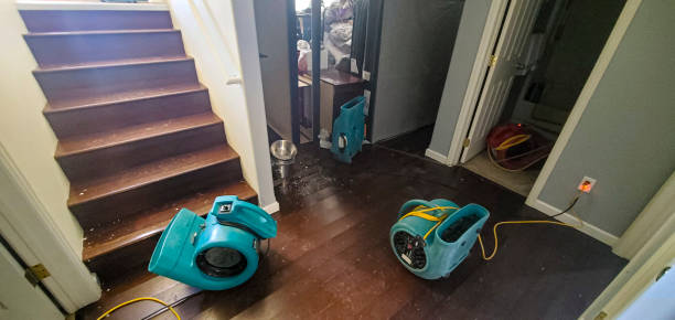 Best Water damage restoration process  in Baltic, CT