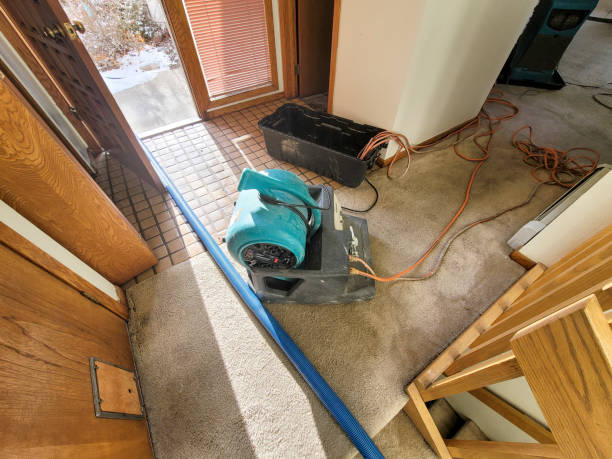 Best Mold removal after water damage  in Baltic, CT