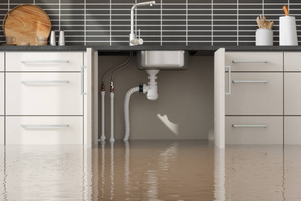 Best Professional water damage repair  in Baltic, CT